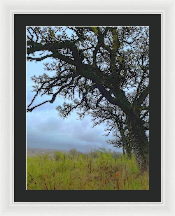 Spring Tree Buds - Framed Print