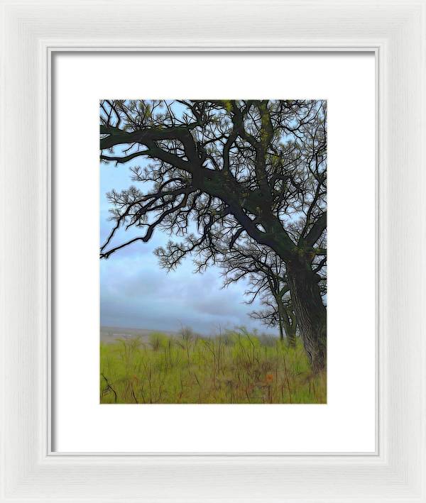 Spring Tree Buds - Framed Print