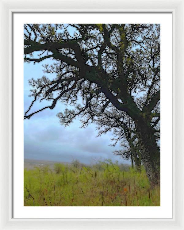 Spring Tree Buds - Framed Print