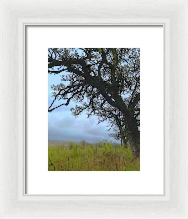 Spring Tree Buds - Framed Print