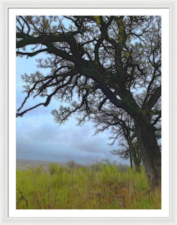 Spring Tree Buds - Framed Print