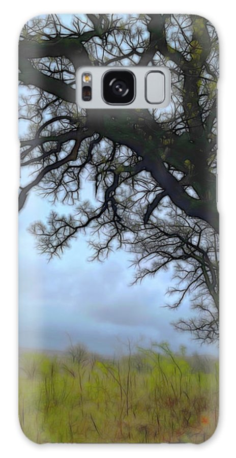 Spring Tree Buds - Phone Case