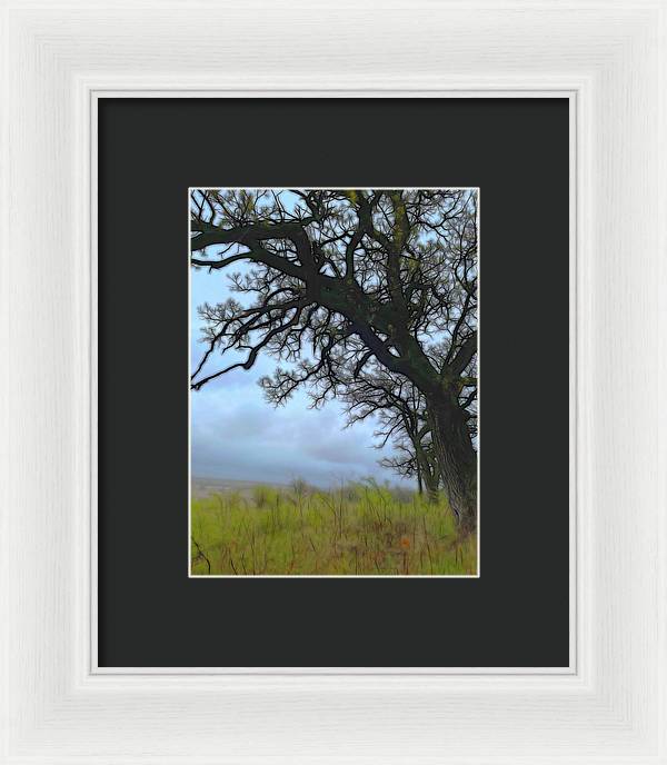 Spring Tree Buds - Framed Print