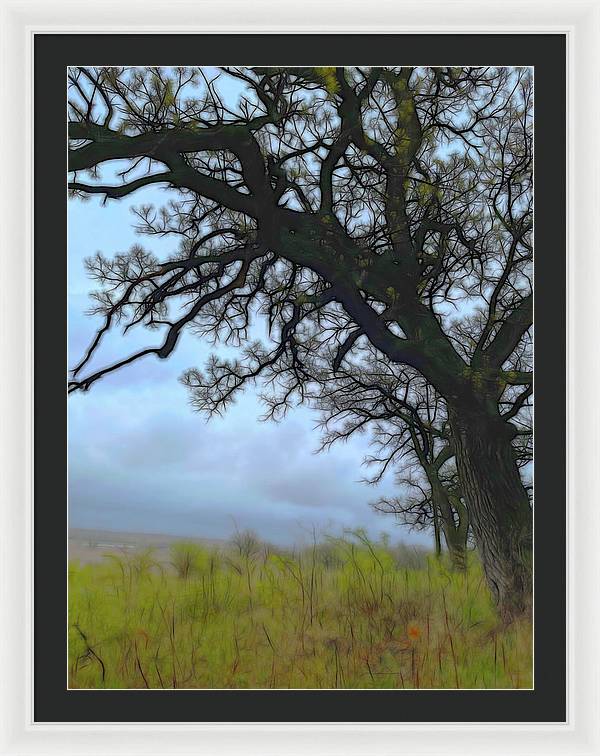 Spring Tree Buds - Framed Print