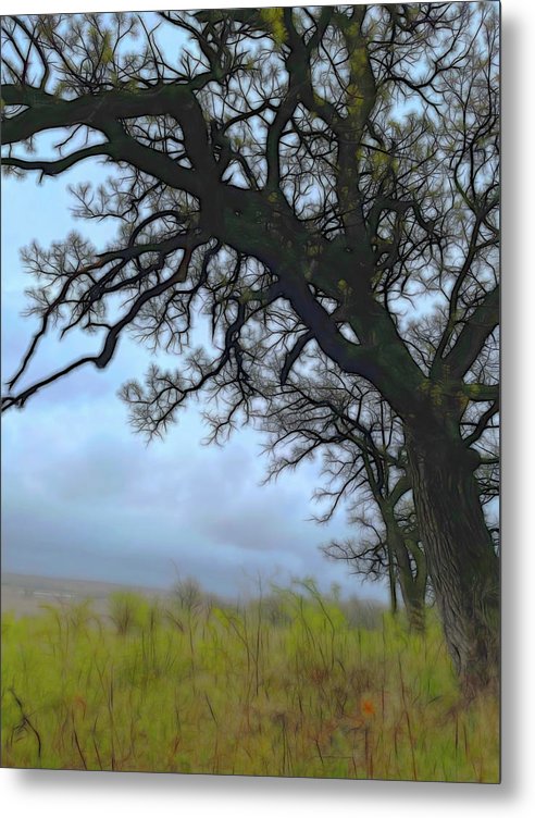 Spring Tree Buds - Metal Print