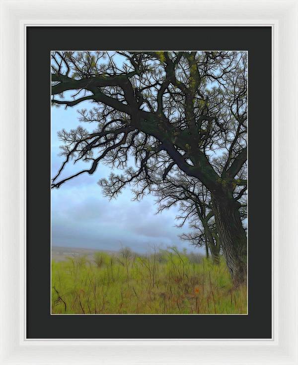 Spring Tree Buds - Framed Print