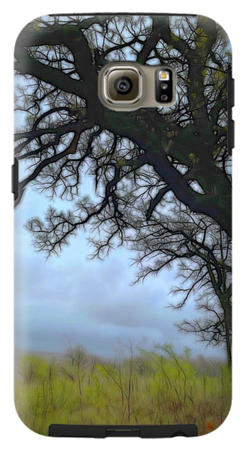 Spring Tree Buds - Phone Case