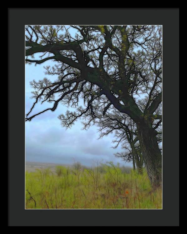 Spring Tree Buds - Framed Print