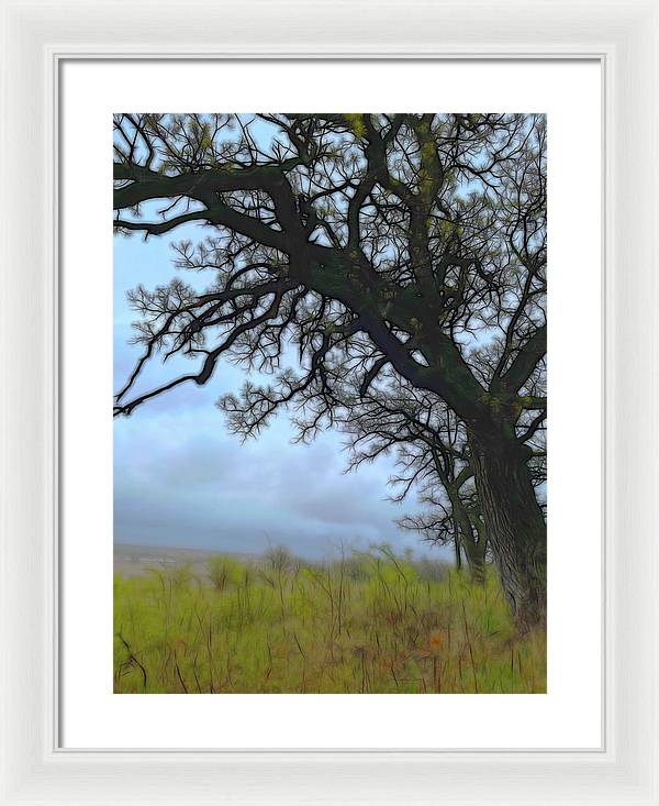 Spring Tree Buds - Framed Print