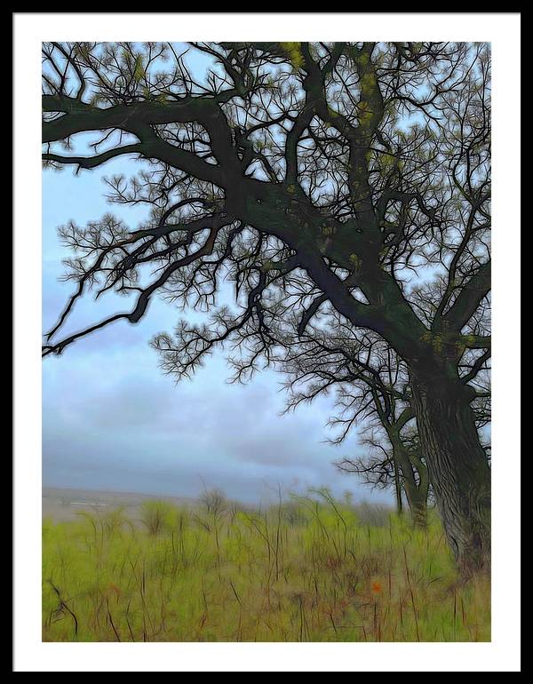 Spring Tree Buds - Framed Print
