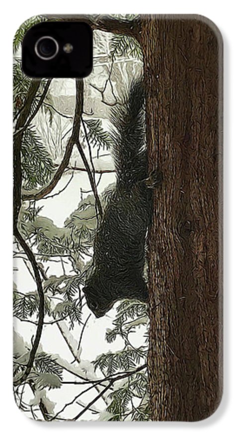 Squirrel on a Snowy Tree - Phone Case