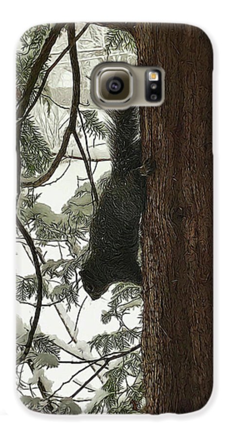 Squirrel on a Snowy Tree - Phone Case