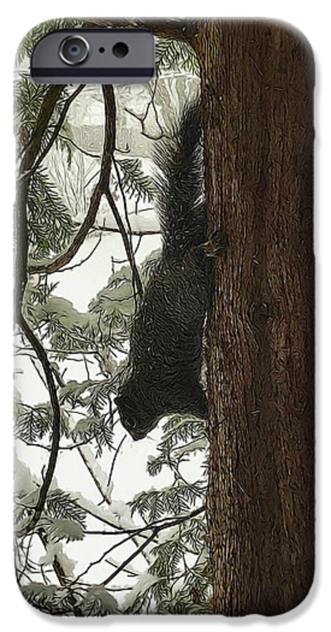 Squirrel on a Snowy Tree - Phone Case