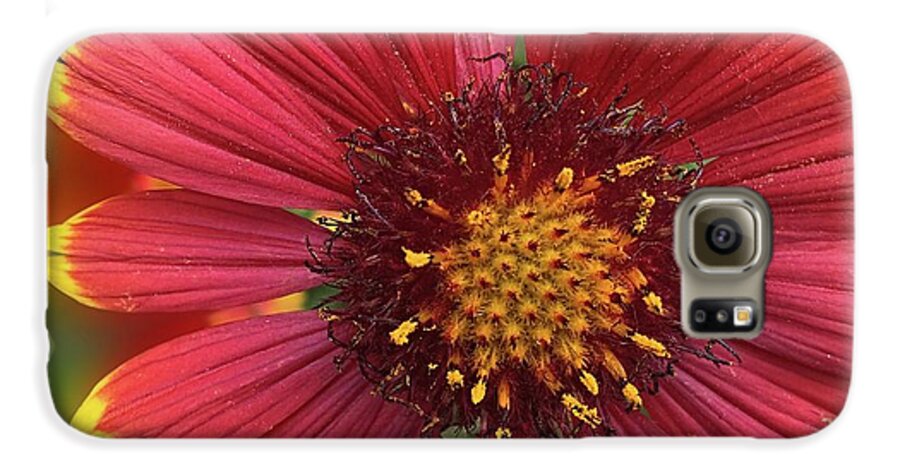 Sunburst Flower Close Up - Phone Case