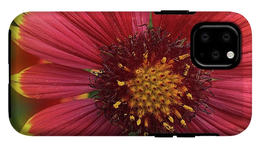 Sunburst Flower Close Up - Phone Case