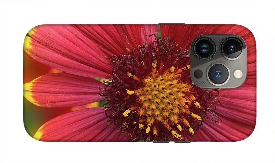 Sunburst Flower Close Up - Phone Case