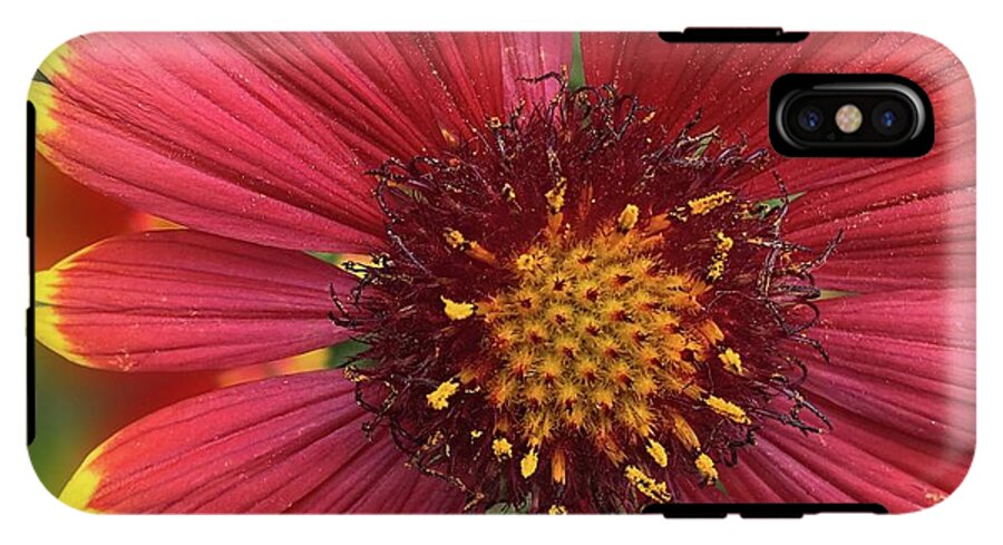 Sunburst Flower Close Up - Phone Case