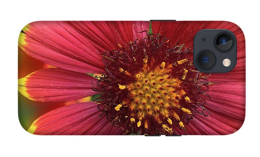 Sunburst Flower Close Up - Phone Case