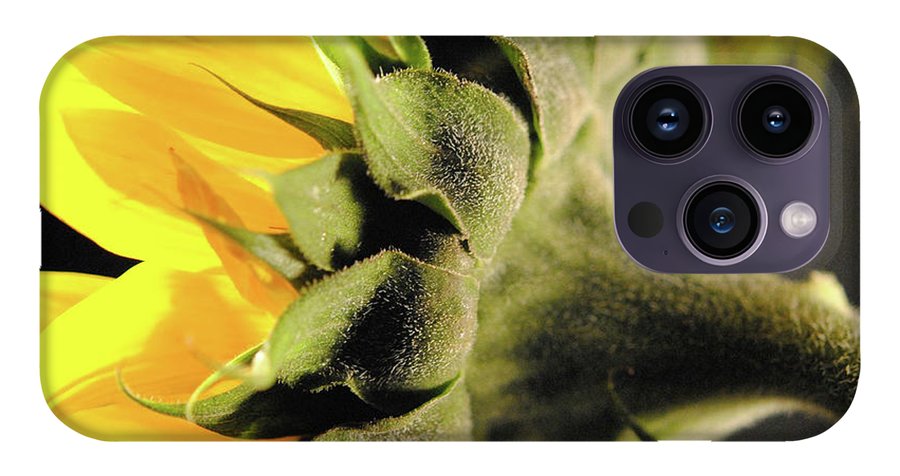 Sunflower Back - Phone Case