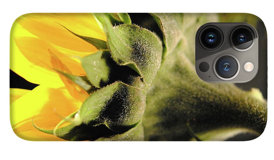 Sunflower Back - Phone Case