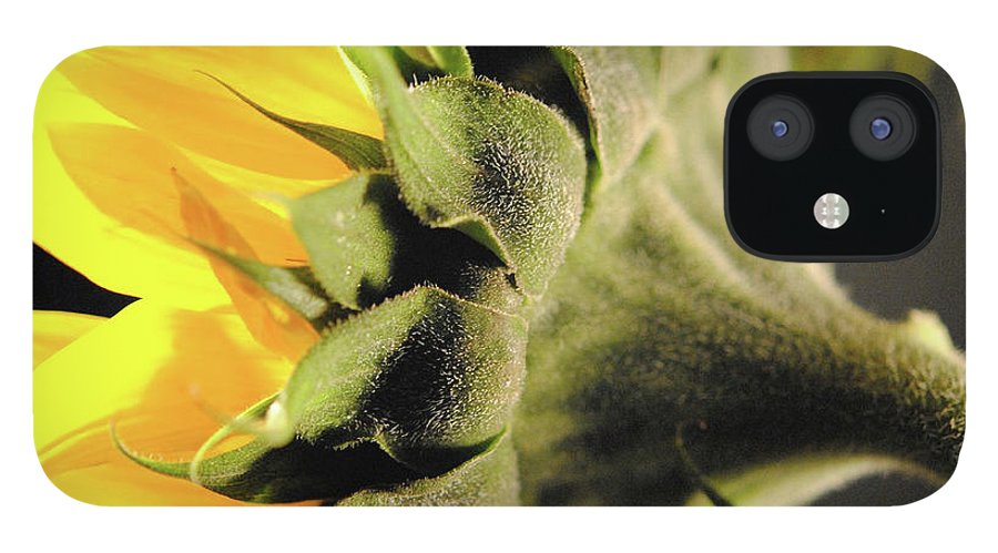 Sunflower Back - Phone Case
