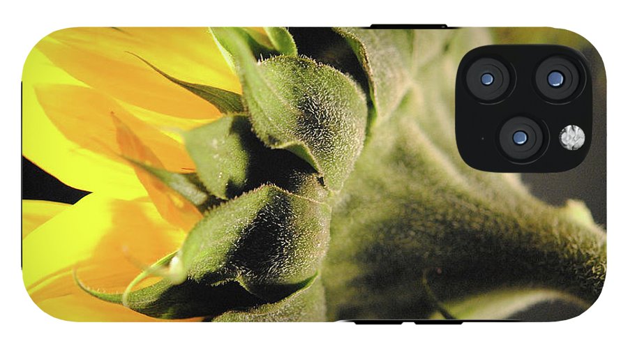 Sunflower Back - Phone Case