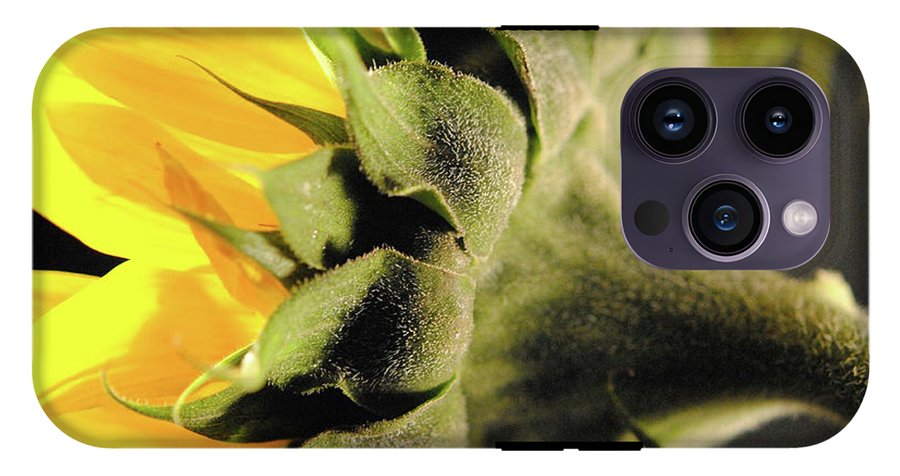 Sunflower Back - Phone Case