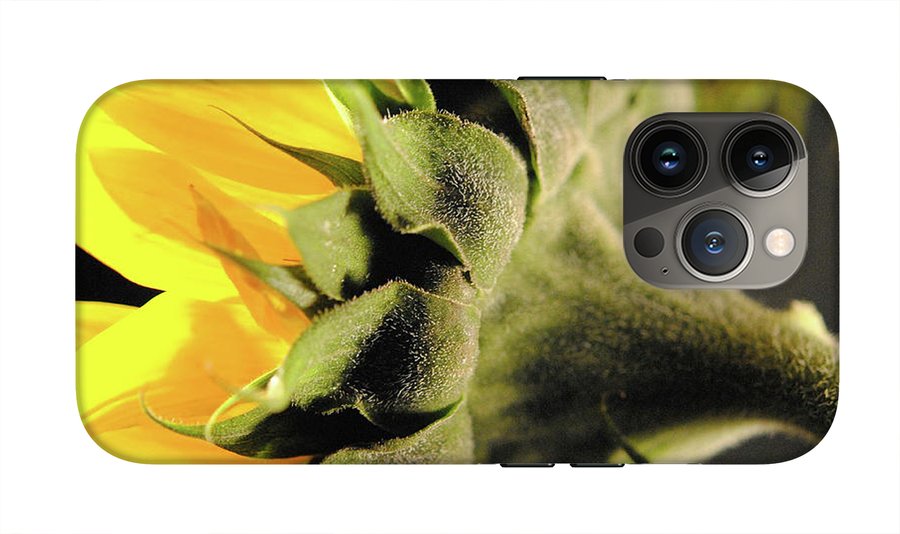 Sunflower Back - Phone Case