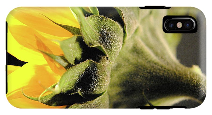 Sunflower Back - Phone Case