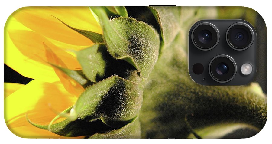 Sunflower Back - Phone Case