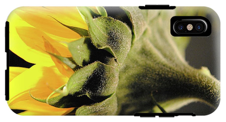 Sunflower Back - Phone Case