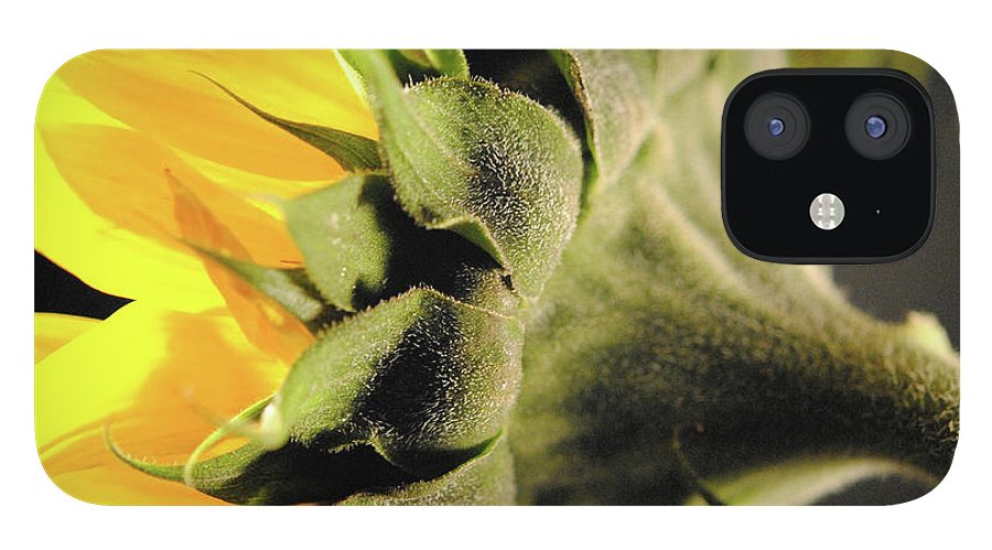 Sunflower Back - Phone Case