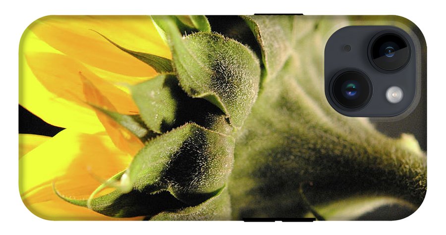 Sunflower Back - Phone Case