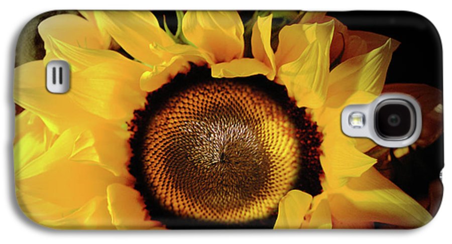 Sunflower Fades - Phone Case