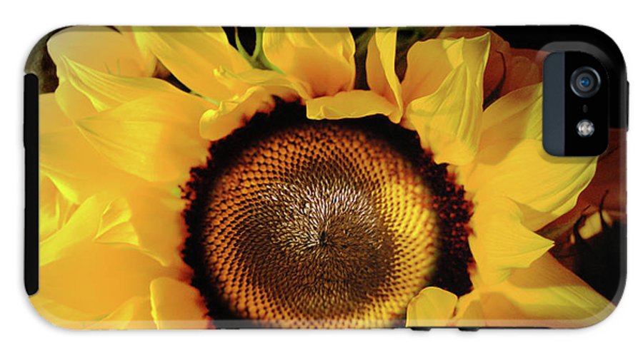 Sunflower Fades - Phone Case