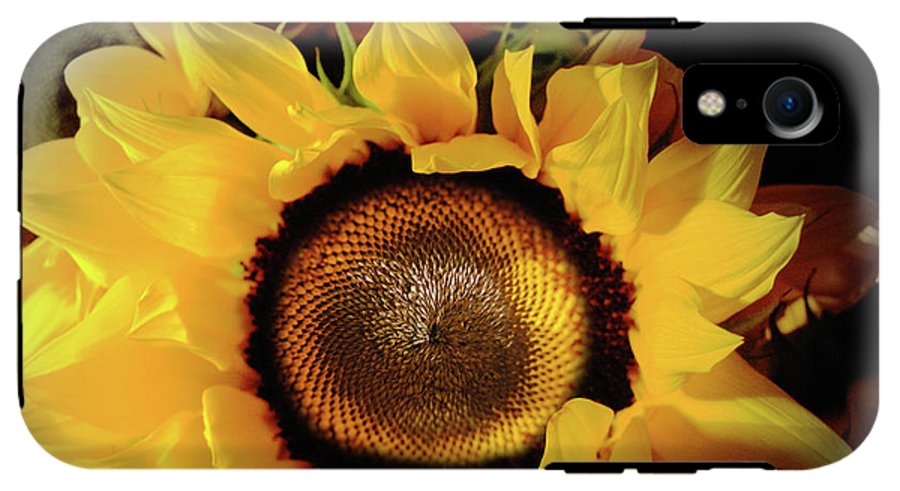 Sunflower Fades - Phone Case