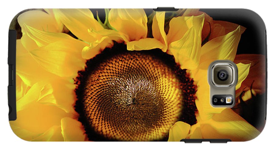 Sunflower Fades - Phone Case