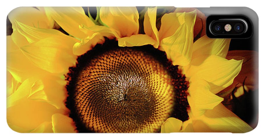 Sunflower Fades - Phone Case
