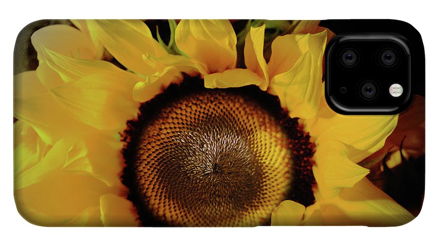 Sunflower Fades - Phone Case