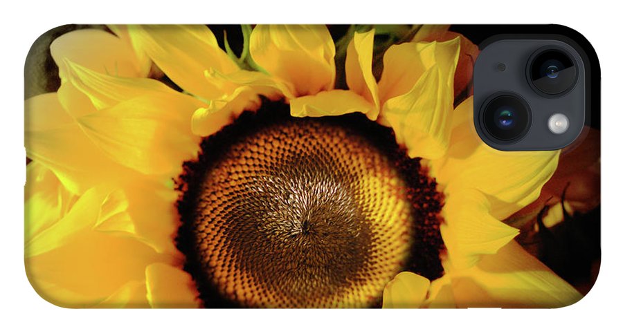 Sunflower Fades - Phone Case