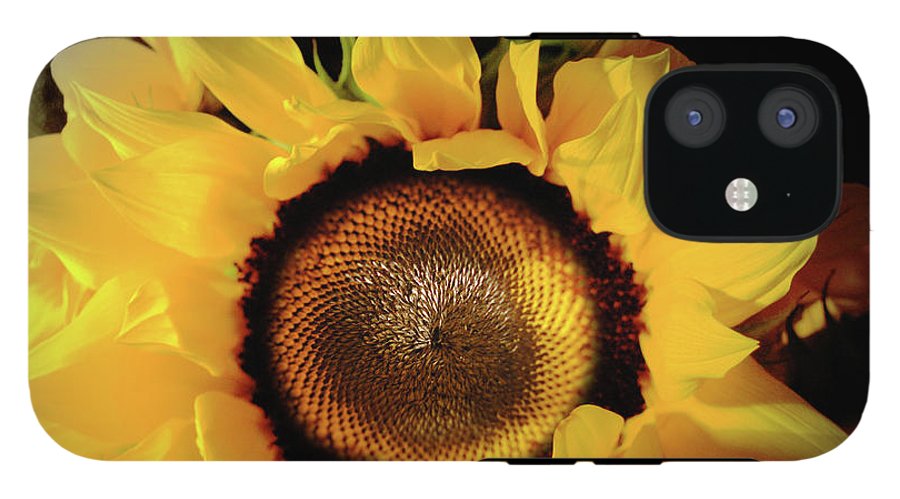 Sunflower Fades - Phone Case