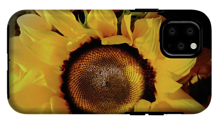 Sunflower Fades - Phone Case