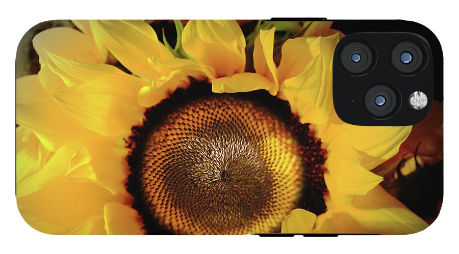 Sunflower Fades - Phone Case