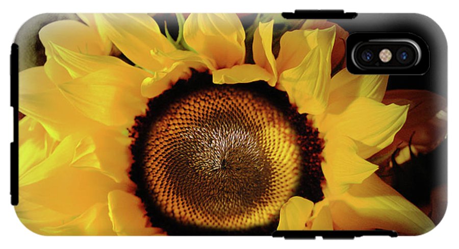 Sunflower Fades - Phone Case