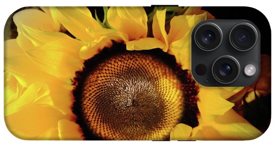 Sunflower Fades - Phone Case