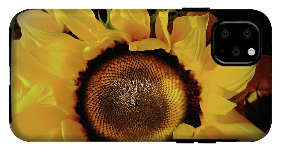 Sunflower Fades - Phone Case