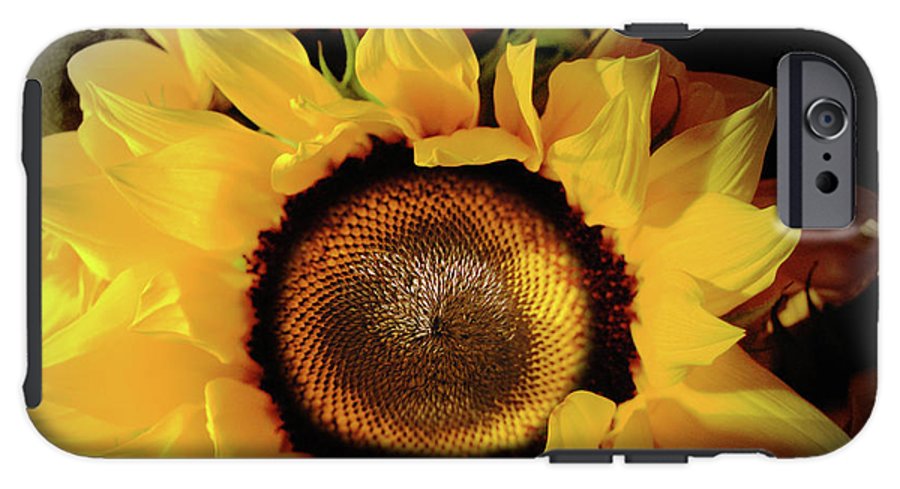 Sunflower Fades - Phone Case