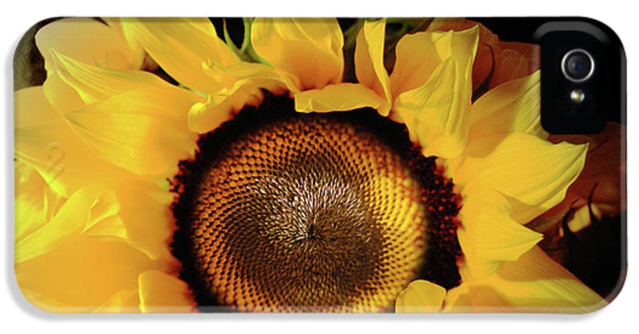 Sunflower Fades - Phone Case