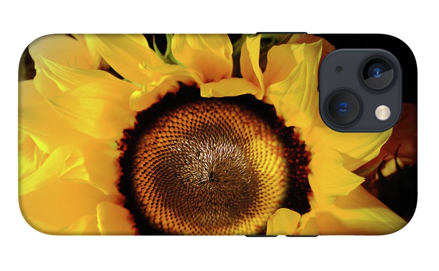 Sunflower Fades - Phone Case