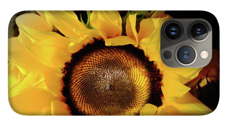 Sunflower Fades - Phone Case
